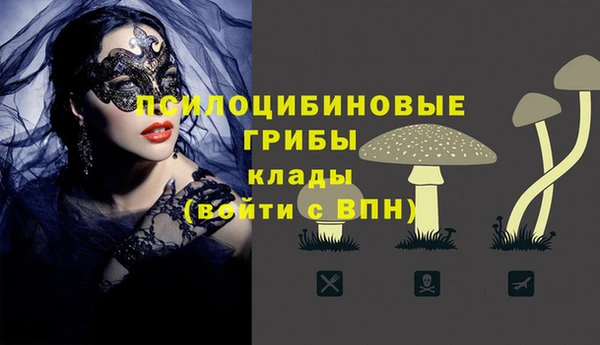индика Осташков