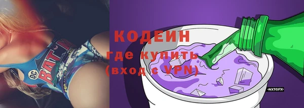 индика Осташков