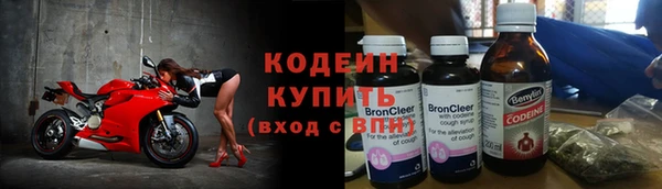 индика Осташков