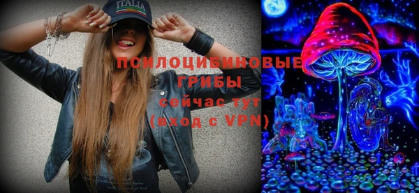 индика Осташков