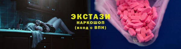 индика Осташков