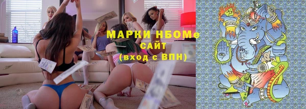 индика Осташков