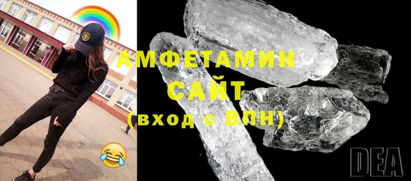 индика Осташков