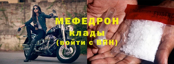 индика Осташков