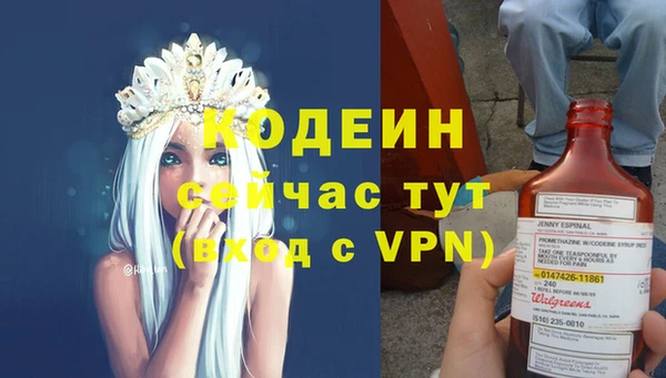 индика Осташков