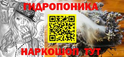 амф Гатчина